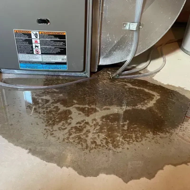 Appliance Leak Cleanup in Onslow County, NC